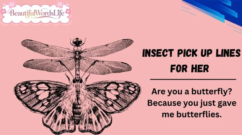 Insect Pick Up Lines for Her