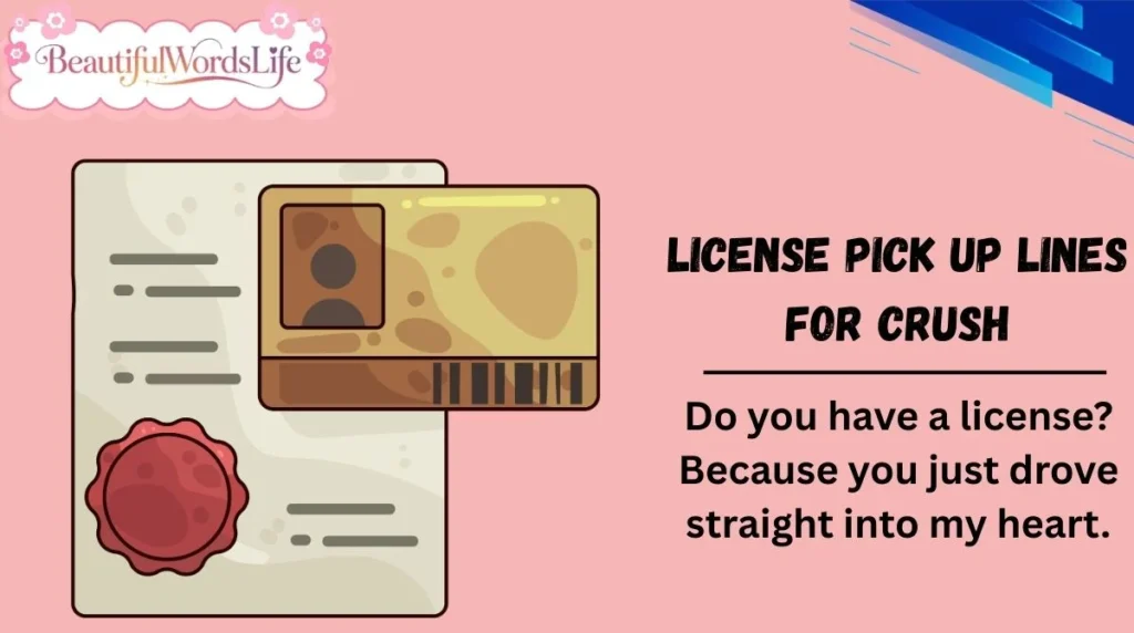 License Pick Up Lines for Crush