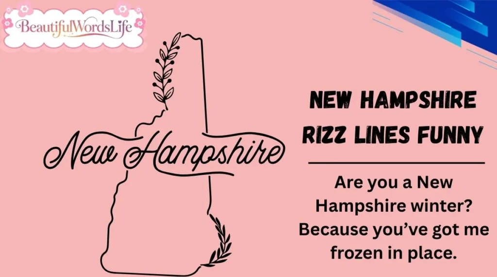 New Hampshire Rizz Lines Funny