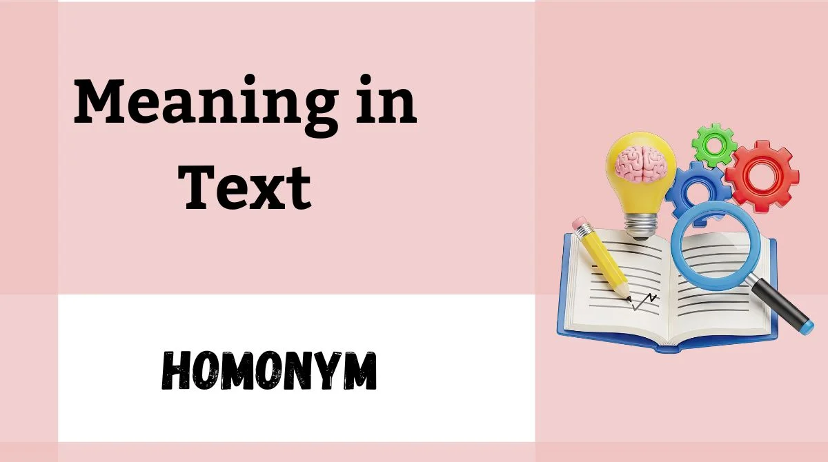 Homonym Meaning